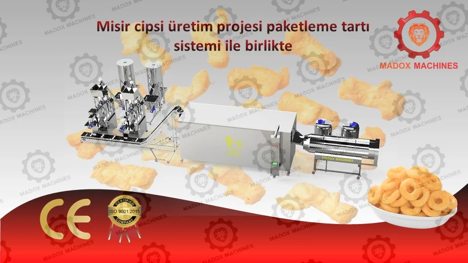 mısır cipsi üretim projesi