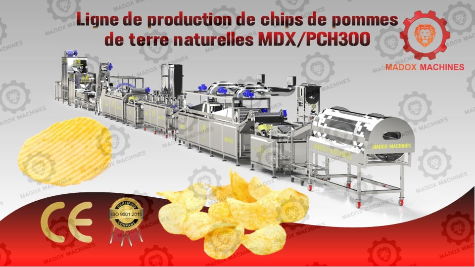 Ligne de production de chips de pommes de terre naturelles MDXPCH300