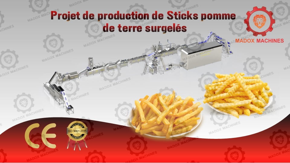 Projet de production de Sticks pomme de terre surgelés