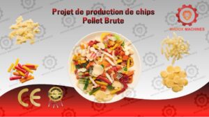 Projet de production de chips Pellet Brute