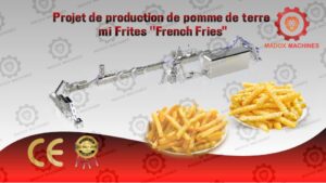 Projet de production de pomme de terre mi Frites ''French Fries''