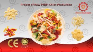 Project of raw pellet chips production
