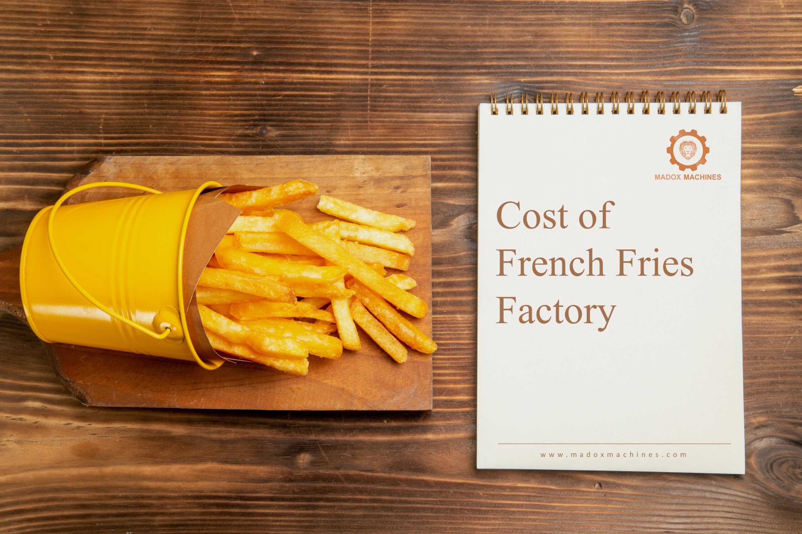 cost of french fries factory