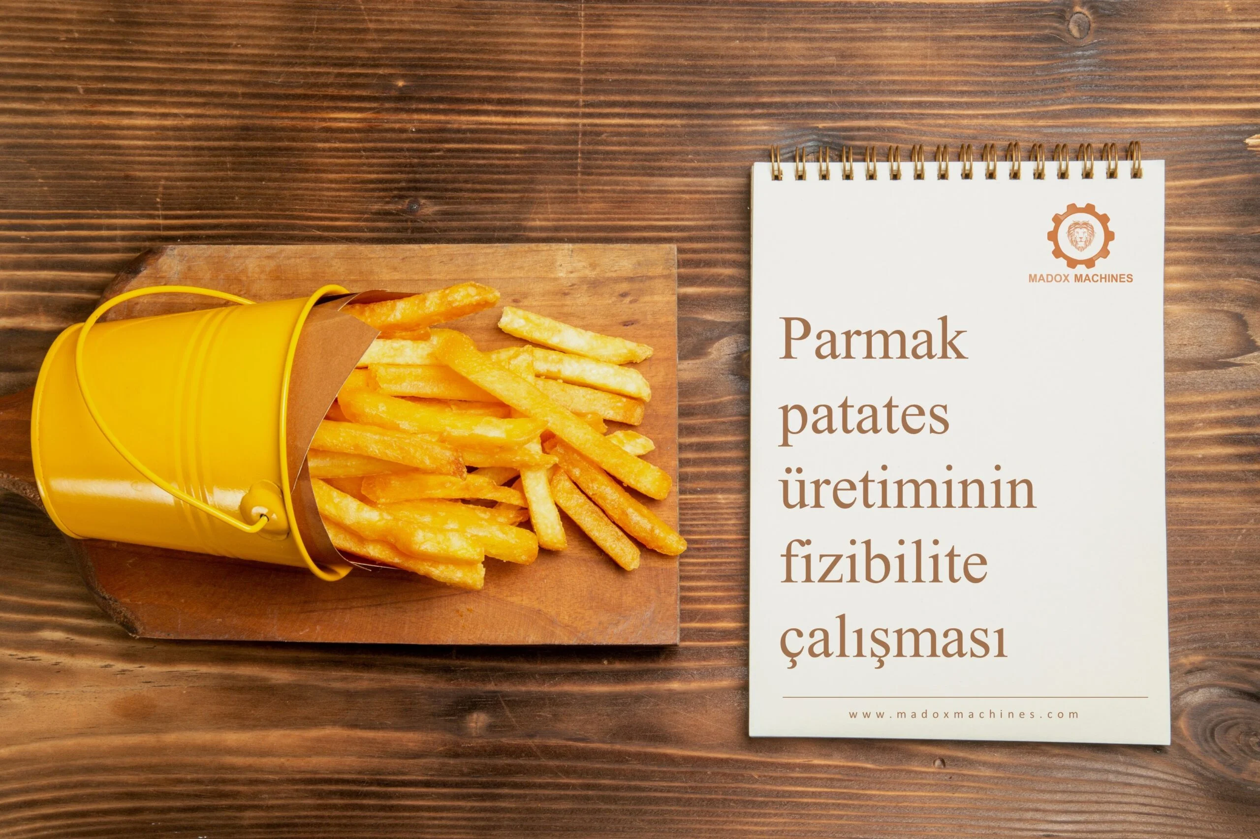 Parmak patates üretiminin fizibilite çalışması