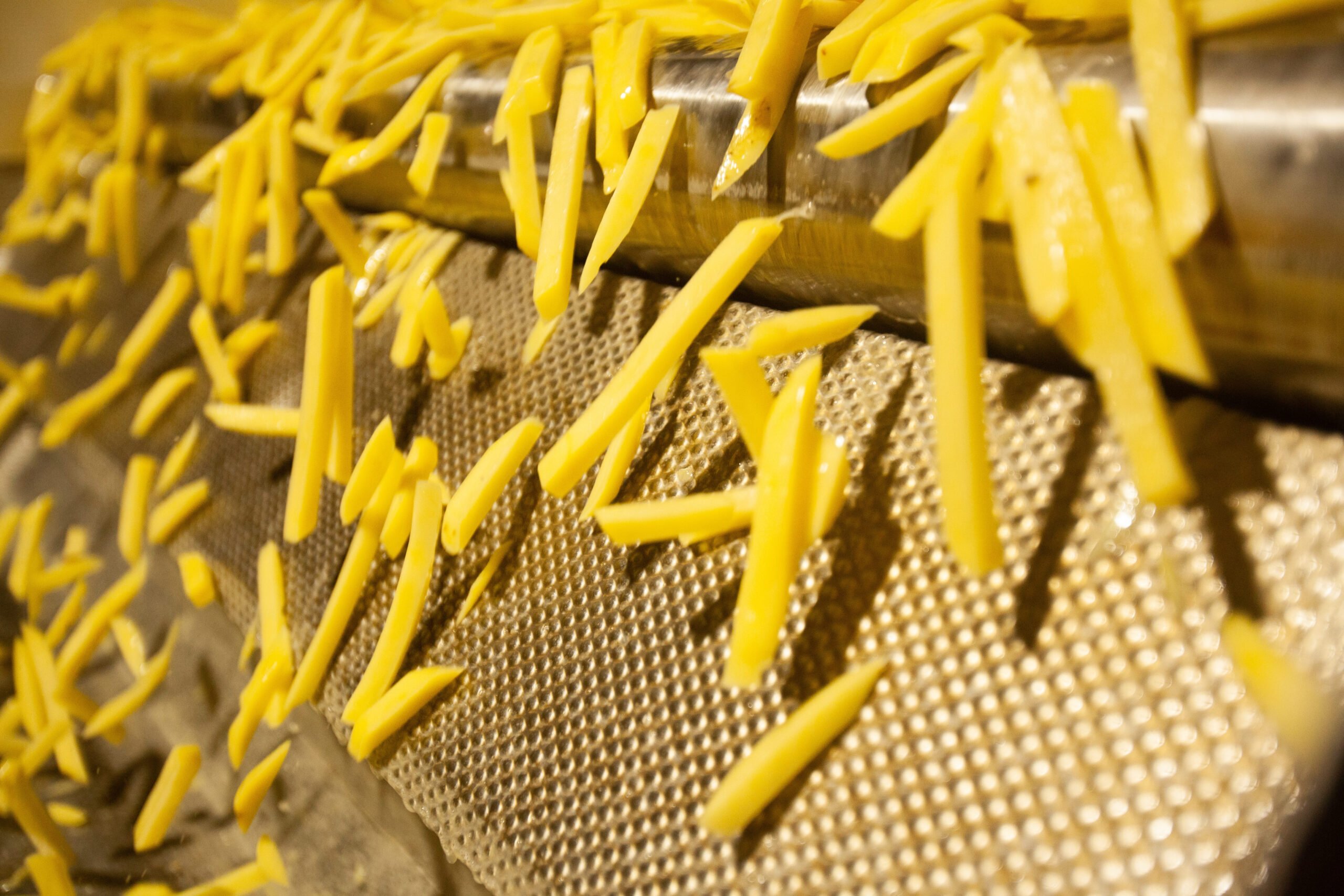 سعر خط إنتاج بطاطس نصف مقلية