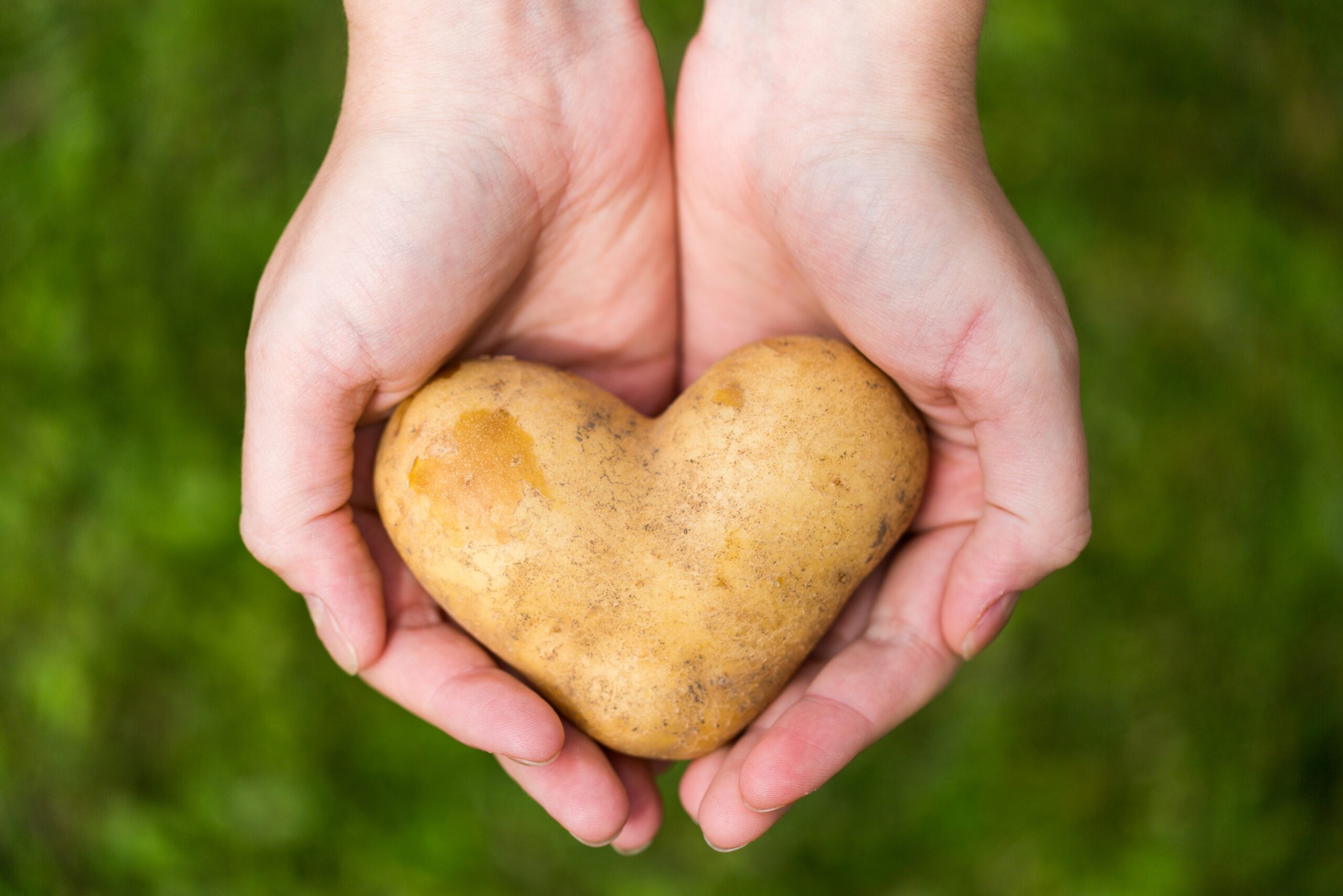 مادوكس إحدى أهم شركات العالم في صناعة خطوط إنتاج البطاطس النصف مقلية والشيبس