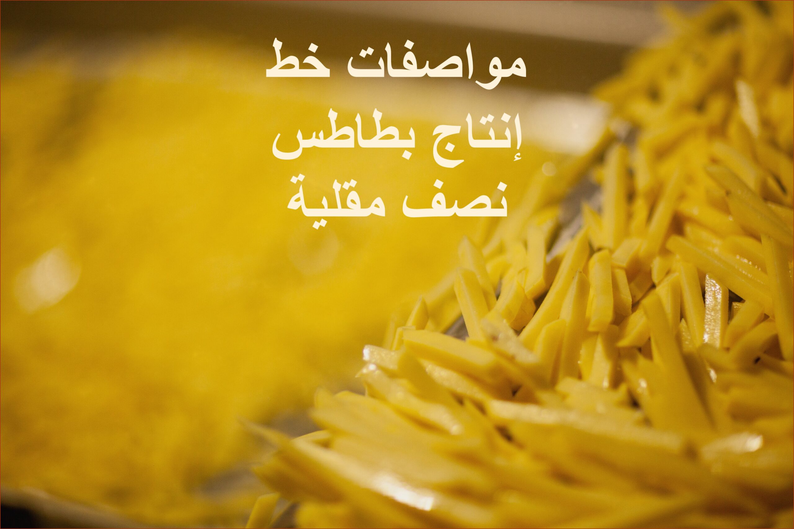 مواصفات خط إنتاج بطاطس نصف مقلية