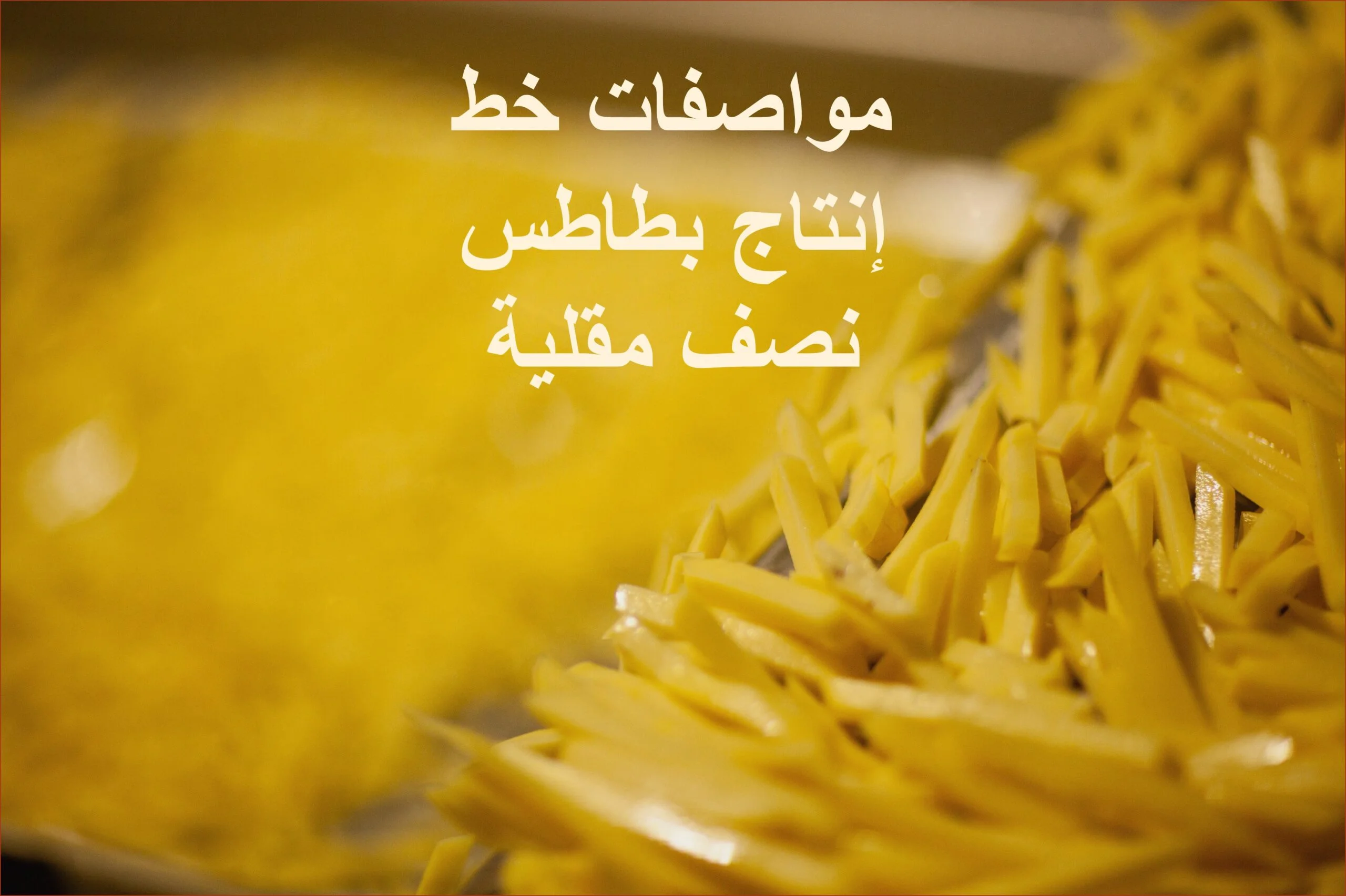 مواصفات خط إنتاج بطاطس نصف مقلية